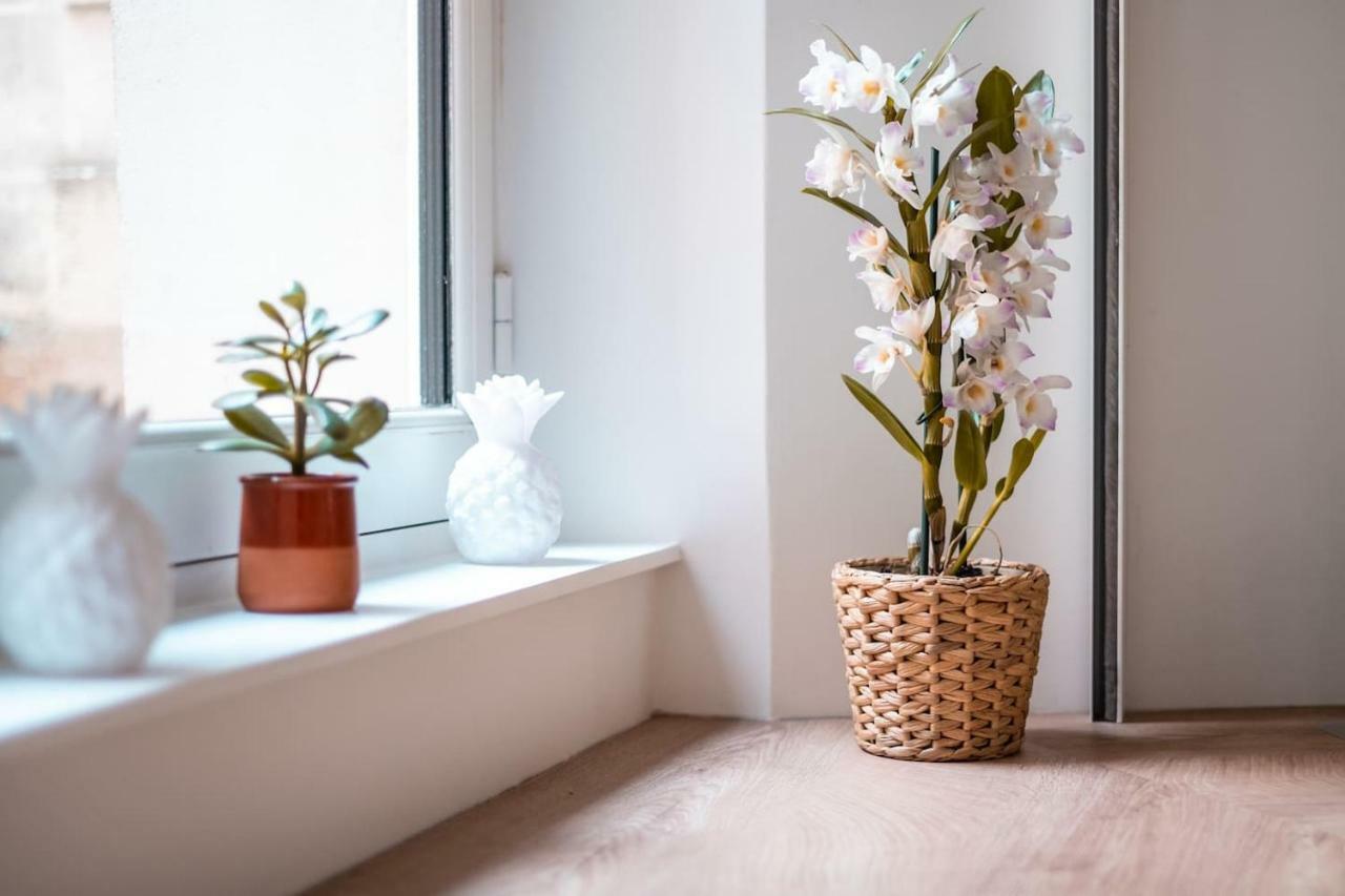 Appartamento Havre de paix- hyper centre 2/4 pers avec terrasse privée Nantes Esterno foto